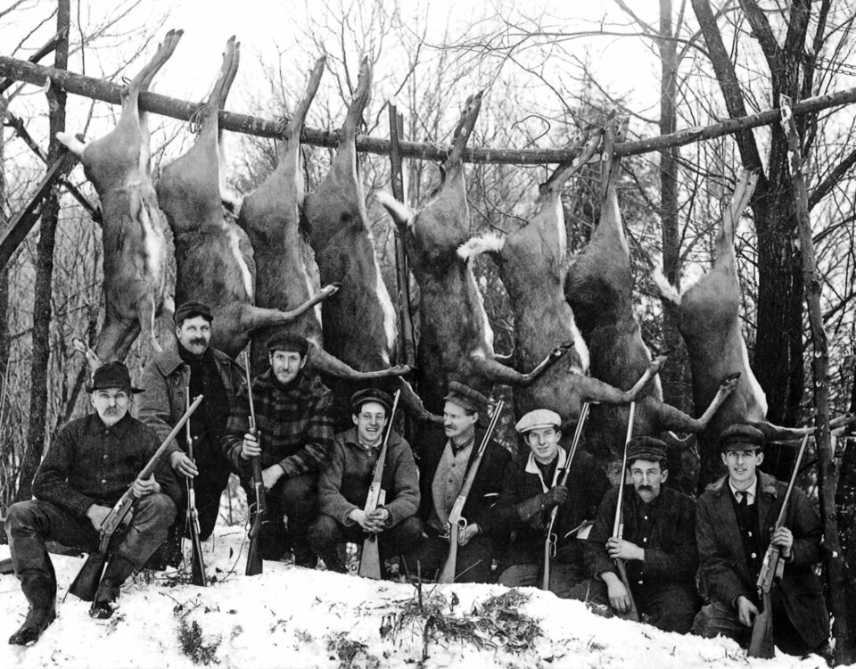 Hunting Animals for Leather Export